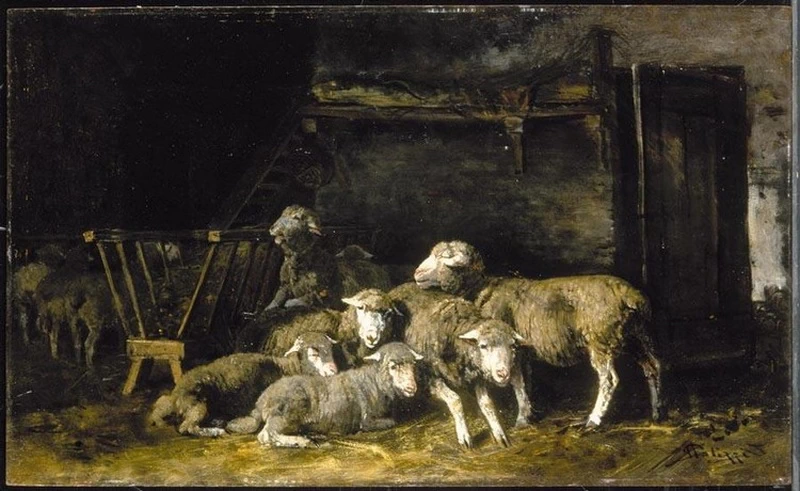 Gregge nell'ovile